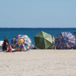 Group of parasols on the beach.