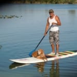 Man and dog on a stand up paddleboard.