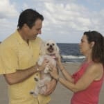 Couple on the beach holding dog.