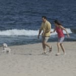 Couple on the beach walking a dog.